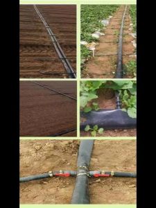 สายส่งน้ำป้องกันPE 2 นิ้ว 100ม. ยาวตลอดเส้น สายส่ง ไม่ซึม ไม่มีรอยต่อ ไม่มีตะเข็บ น้ำหนักเบา ม้วนพับง่าย