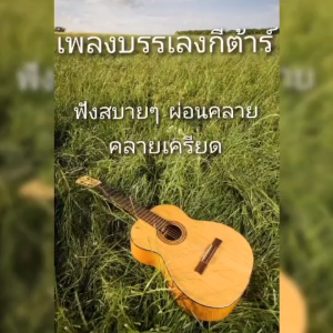 แฟลซไดร์ฟ USB-MP3 เพลงสากลบรรเลงกีต้าร์ ฟังสบายๆ ช่วยผ่อนคลาย คลายเครียด อารมณ์ดี