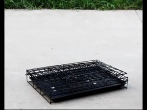 Dog Cage Foldable pet cage with Poop Tray Heavy Duty Pet Collapsible Cage Cat cage Pet cage