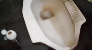 Pembersih WC Toilet Kloset Kerak Keramik Porselen Shower Kaca Lantai Kamar Mandi