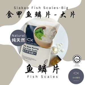 ［小小鱼行］（500g_B大鱼鳞片）纯天然优质食甲鱼鳞片/大食甲鱼鳞片/Fish Scale / Sisik Ikan Siakap /Collagen 胶原蛋白