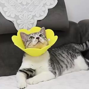 CORONG PELINDUNG LEHER BAHAN EVA - Collar Pelindung Leher Kucing Anjing Neck Collar Pet Accessories