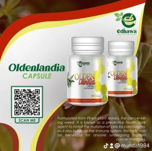 Edhawa Oldenlandia 30 herbal capsules | FDA Approved | Cancer Killing weeds | Anti Cancer | Locally made