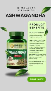 Himalayan Organics Premium Ashwagandha 1000mg - 120 Capsules | Ayurvedic Energy & Stress Relief Supplement