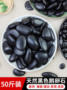 Black Pebbles Natural Rain Flower Stones Original Black Rocks for Courtyard Garden Scenery Path Laying Decorative Horticulture Supplies