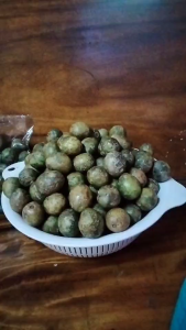 มะกอกป่าใส่ส้มตำ ยำกุ้ง ลาบ อาหารอีสาร มะกอกตำน้ำพริกสินค้าตามฤดูกาล >>>พร้อมส่ง