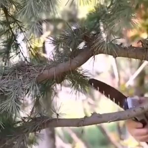 Gergaji Lipat Kayu Super Tajam Ori Portable