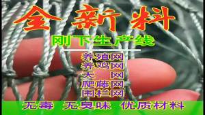 家禽养殖网防鸟网果园果树网鱼塘顶网围栏网防飞网养鸡网天网农用Poultry Breeding Net Anti-Net Orchard Fruit Tree Net Fish Pond Top Net Fence Net Anti-Flying Net Chicken Net Sky Net Agricultural。。。