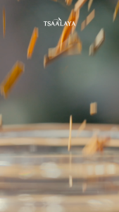 Tsaa Laya: Tropical Summer Tea - Canister of 10 Teabags