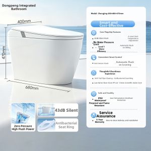 DONGPENG | Intelligent Touch Silent Flush Toilet