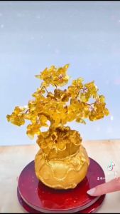 Cây kim tiền Tết Trang Trí Phát Tài Phát Lộc TRT999 - TẶNG PHỤ KIỆN TREO