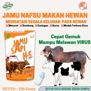 JAMU HS JAMU HEWAN CEPAT GEMUK PENGGEMUK DAN ALAMI PENYUBUR SUSU HEWAN ANTI VIRUS PMK SAPI KAMBING DOMBA KUDA KERBAU JAMU PMK Jamu PMK
