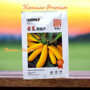 (KEMASAN PREMIUM) BIJI/BENIH ZUCCHINI/ZUKINI KUNING (isi 10 gram)