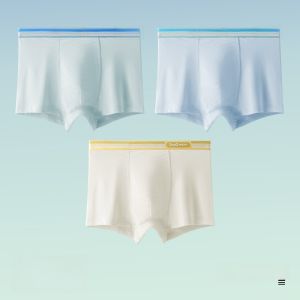 miiow | Ice Silk Mesh Underwear For Kids And Teenagers Growing Development Period Antibacterial Flat Angle Pants Comfortable Elastic Waist