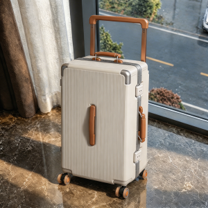 MANLVSHI | Large Capacity Wide Handle Aluminum Frame Luggage 20 Inch