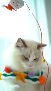 for "XMAS TREE BAR/ XMAS RING BAR (ไม้ตกแมวสำหรับน้องแมว)