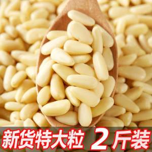 Premium Grade Large Northeast Pine Nuts 2024 New Stock Original Flavor Red Pine Seeds Snacks/Hazelnuts/Cracked Pine Nuts