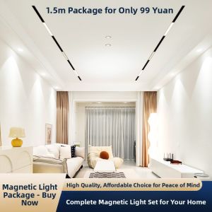 WANLIYANG | Magnetic Track Light Embedded Recessed Light