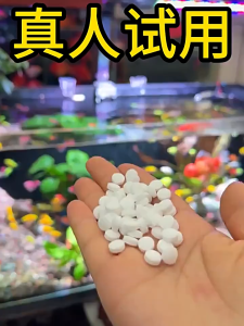 100Pcs Polymer Water Purification Tablets for Removing Green Algae Yellow Water Sterilization Purification