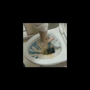 Nước tẩy bồn cầu Khử nhiễm mạnh mẽ chai tẩy bồn cầu 500ml nước rửa bồn cầu Vệ Sinh Bồn Cầu Bồn Tắm Lavabo-HAUSE