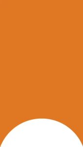 LCD OPPO RENO 5 4G-5G / RENO 6 4G-5G SHINE STAR FULLSET TOUCHSCREEN