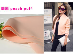 ผ้าคอตตอนอวกาศหนา ผ้าถักว่าง ผ้ากันลม ผ้าปิดปากแบบบุบบี้สำหรับเสื้อผ้า เสื้อคลุม เสื้อผ้าสำหรับใส่ในบ้าน ผ้าป้องกันฝุ่น