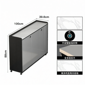 New Hot-selling High-quality With-lock Shoe Cabinet