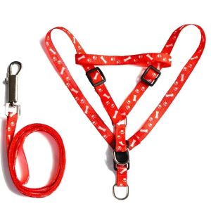 TALI TUNTUN HARNESS KUCING - kode3
