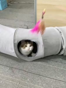 Cat Tunnel for Indoor Cats with Play Ball S-Shape Collapsible Cat Play Tube Toys S-Shaped Tunnel for Puppy Kitty Kitten Rabbit