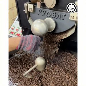 Rengit Elephant Coffee A [HALAL] LIBERICA COFFEE BEAN l 500g