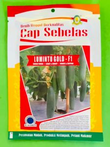 Benih Timun Ketimun Mentimun LUMINTU GOLD F1 dari Cap Sebelas terbaikk