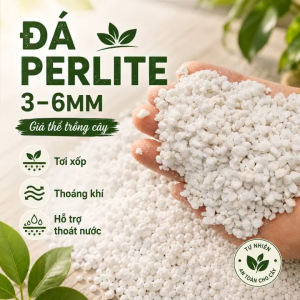 Đá Perlite Trồng Cây 3-6mm (Chia nhỏ 100g) - Giúp Đất Tơi Xốp Thoát Nước Tốt