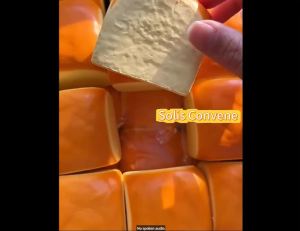 Bread Squishy Stress Toy Hawaiian Roll Slow Rising Foam Squeeze Toy for Kids&Adults Sensory Desk Stress Relief Novelty Gift