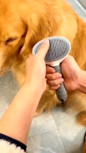 Best Seller PET COMB BRUSH FUR REMOVER | Hair Remover for Pets | Non-Slip Beauty Brush for Dogs & Cats | Grooming Equipment for Pets | Stainless Steel Comb for Dogs & Cats | Hair Removal Comb Pet Hair Remover Brush | Reusable Pet Hair Comb Grooming Brush