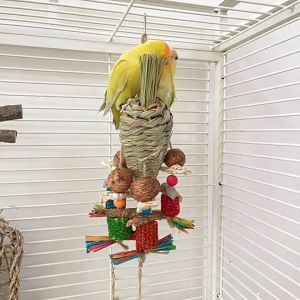 🇸🇬 Parrot Chew Toy: Natural Wooden Blocks with Nuts Loofah Carambola and Pine Cones Enrichment Toy