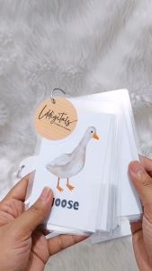 Farm Animals Flash Cards | Farming Inspired Card | Kids Learning Flash Card | Laminated | Size 3x5 and 3x3