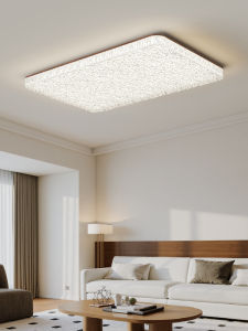 DGY | Retro Italian Full Spectrum Eye-Protective Ceiling Light