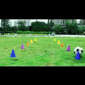 12Pcs Training Cone 18cm Sport Cones Training Football Soccer Sport Cone Agility Ladder