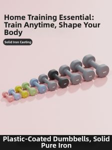 XINBAI | Mini Home Use Dumbbells 2kg Pair