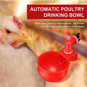 4Pcs/6Pcs Automatic Chicken Water Cup Poultry Drinking Bowl Waterner Chicken Feeder Cups Water Drinker Bowls