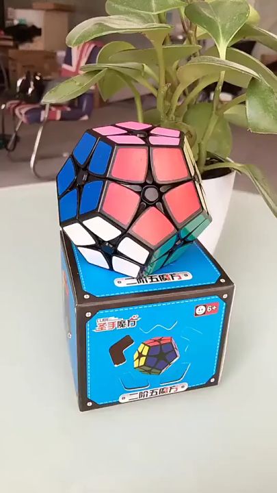 Puzzle Rubik Shengshou 2x2 Kilominx MEGAMINX segi5 Cubik Asah otak IQ