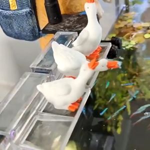 [TỔNG HỢP] Combo Mô Hình Tiểu Cảnh Chó Mèo Vịt trang trí thành bể cá tiểu cảnh