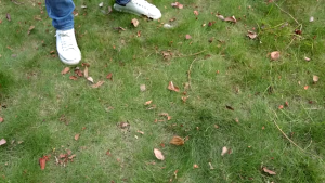 JY Smart Mall 48V Cordless Blower Vacuum Cleaner Blower with Lithium Battery Set 1200W Computer Dust Collector