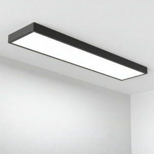 SAINAHEPAN | LED Surface Mounted Rectangular Ceiling Light