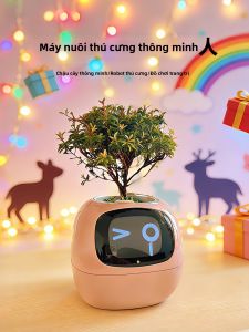 Thoughtful Birthday Anniversary Gift