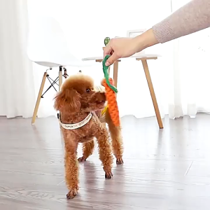 Mainan Anjing Gigitan Tali Kepang Mainan Gigi Anjing