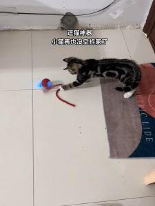 Interactive Cat Toy Chew Resistant Automatic Ball Pet Supplies Fun Jumping Ball Cat Teaser Stick Self Entertaining De Stressor