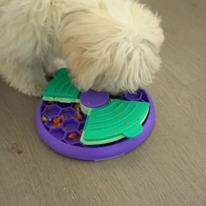 Dog Cat Puzzle Toys Slow Feeder Interactive Increase IQ Food Dispenser Non-Slip Slowly Dog Cat Eating Bowl Pet Feeding Supplies