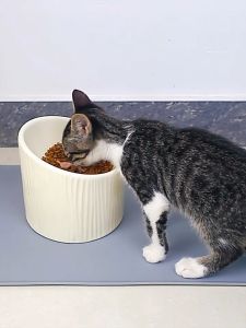 Pet Bowl Mat Waterproof Pelapik Makanan Kucing Anjing Silicon Mat Bekas Makan Minum Kucing Pet Placemat