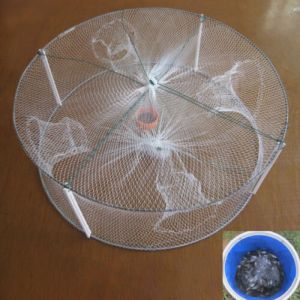 1 Cái Có Thể Gập Lại Câu Cá Tôm Cua Mồi Lưới Bẫy 4 Lỗ Tôm Càng Tôm Hùm Lưới Đúc Nhúng Lồng 33X12Cm Di Động Dụng Cụ Câu Cá